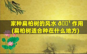 家种扁柏树的风水 🌹 作用(扁柏树适合种在什么地方)